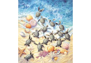 Puzzle Sunsout Tartarughe Verdi - 550 Pezzi