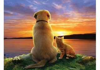Puzzle Sunsout - Tramonto Xxl 300 Pezzi
