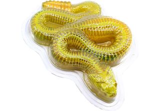 DISSECT-IT Seziona Un Serpente A Sonagli Mega Confezione Regalo