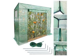 Fiqops Foil Serra Serre Serra Pomodoro Verde 200*80*170CM
