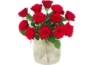 Rose - Roses - Red - Love Roses - Letterbox Bouquet - Love - Bouquet