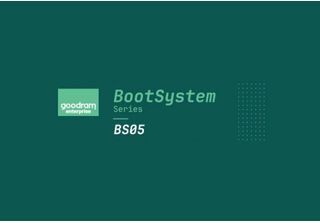 Goodram BS05M 240GB Sata 2.5" Ssd Drive GEBS05SA00-240NS10B (Dwpd Up To 1)"