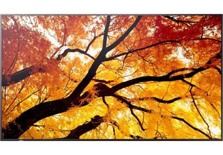 Sharp/Nec M752 Display Grande Formato 75" Uhd D-LED Digital Signage"