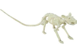Dekorace Kostra - Krysa - Halloween - 20 Cm