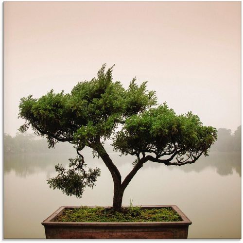 Artland Glasbild »Chinesischer Bonsaibaum«, Bäume (1 St), grün