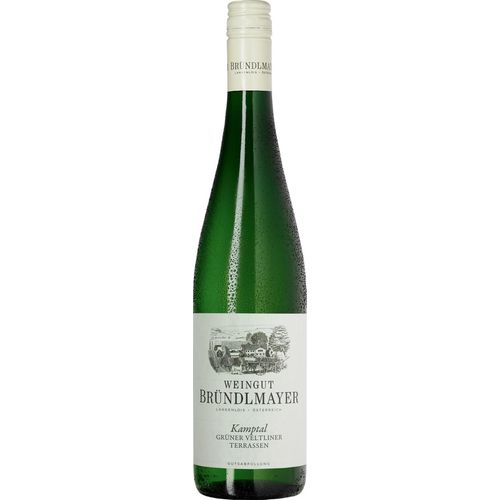 Bründlmayer Grüner Veltliner „Terrassen“ DAC
