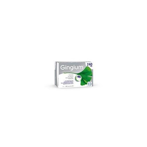 GINGIUM 240 mg Filmtabletten 120 St