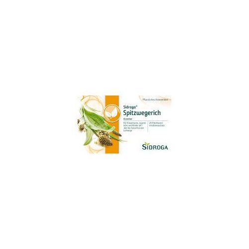 SIDROGA Spitzwegerich Tee Filterbeutel 20X1.4 g
