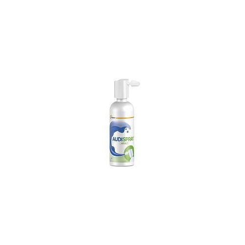 AUDISPRAY Adult Ohrenspray 50 ml