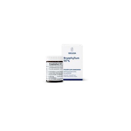 BRYOPHYLLUM 50% Pulver zum Einnehmen 20 g