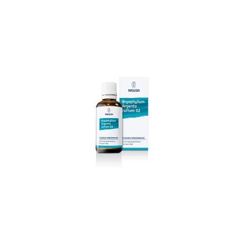 BRYOPHYLLUM ARGENTO cultum D 2 Dilution 50 ml