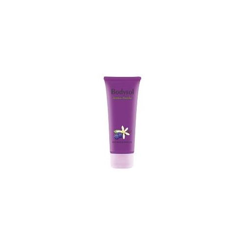 BODYSOL Aroma Duschgel Brombeer Vanille 100 ml