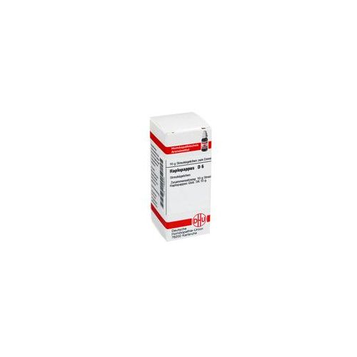 HAPLOPAPPUS D 6 Globuli 10 g
