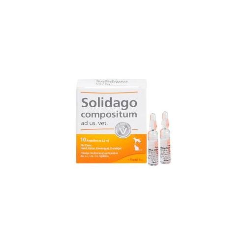 SOLIDAGO COMPOSITUM ad us.vet.Ampullen 10 St
