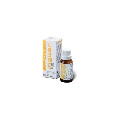 INGWER PURE Tropfen 20 ml