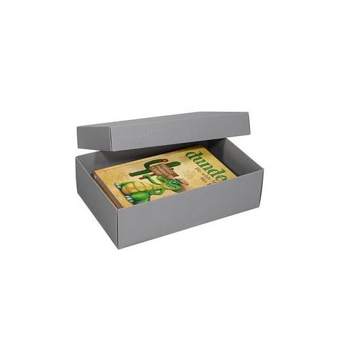 2 BUNTBOX L Geschenkboxen 3,6 l grau 26,6 x 17,2 x 7,8 cm