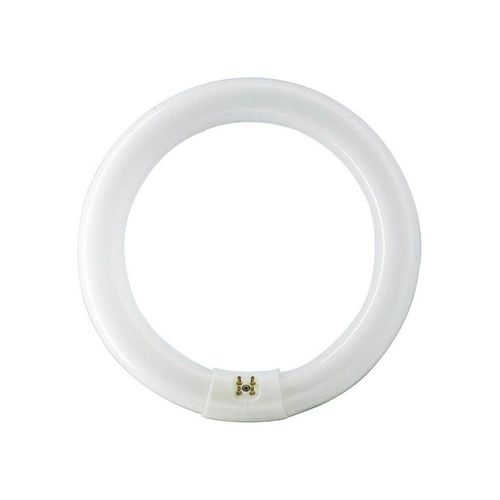 Philips Fluoreszierende Glühbirne Master TL-E Circular 22W/840 G10q