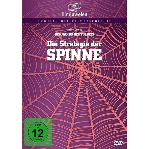 Die Strategie der Spinne (DVD)