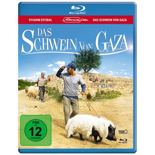 Das Schwein von Gaza (Blu-ray)