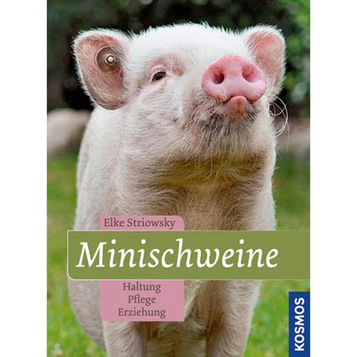 Minischweine - Elke Striowsky, Gebunden