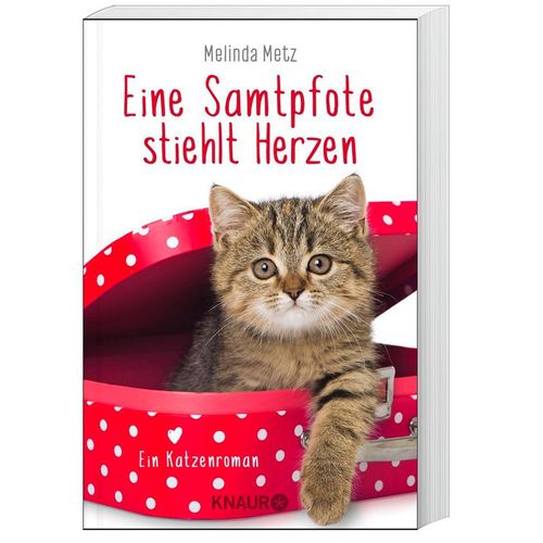 Eine Samtpfote stiehlt Herzen / Samtpfoten Bd.2 - Melinda Metz, Taschenbuch