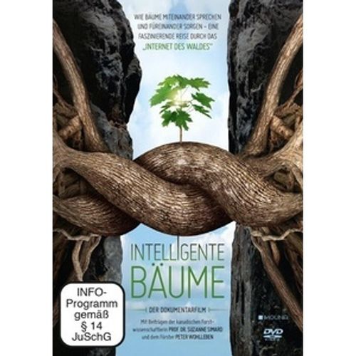 Intelligente Bäume (DVD)