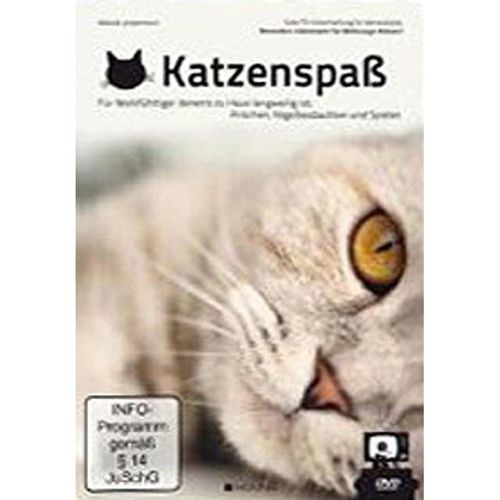 Katzenspaß - Gute TV-Unterhaltung für deine Katze (DVD)