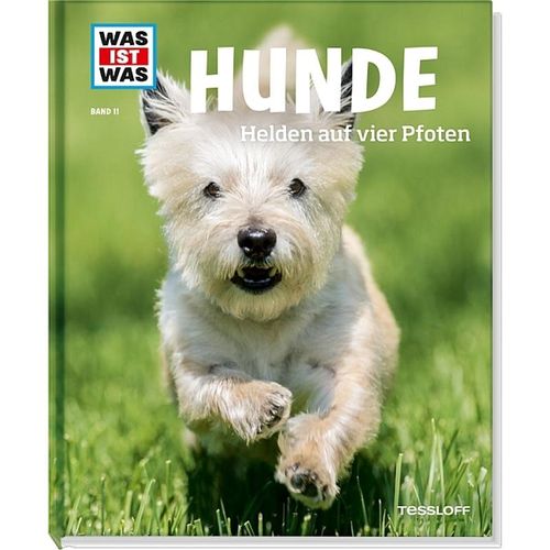 Hunde / Was ist was Bd.11 - Christine Paxmann, Gebunden