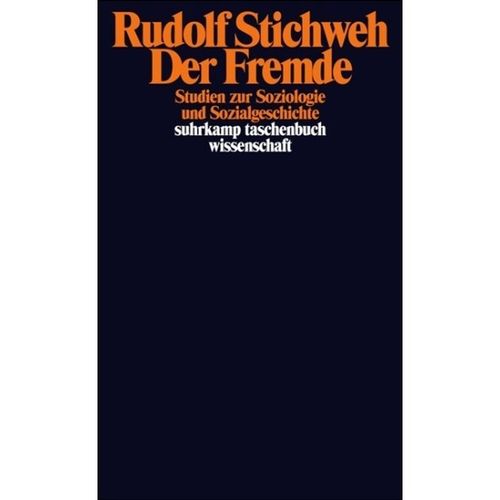 Der Fremde - Rudolf Stichweh, Taschenbuch