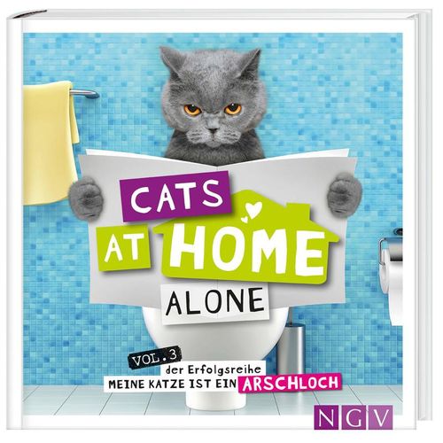 Cats at home alone - Das Geschenkbuch für Katzenliebhaber - Klaus Bunte, Gebunden