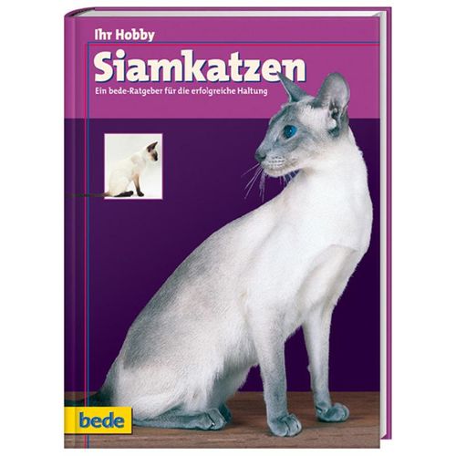 Ihr Hobby Siamkatzen - Dominik Kieselbach, Gebunden