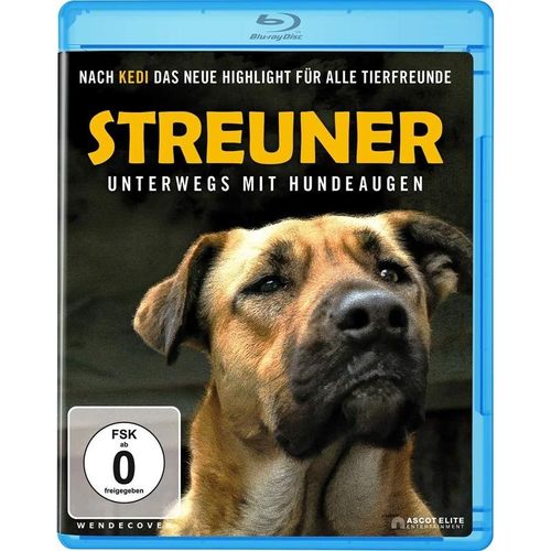 Streuner - Unterwegs mit Hundeaugen (Blu-ray)