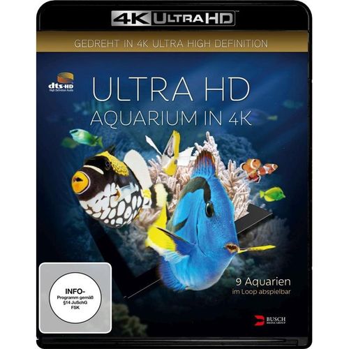Ultra HD Aquarium in 4K (4K Ultra HD)