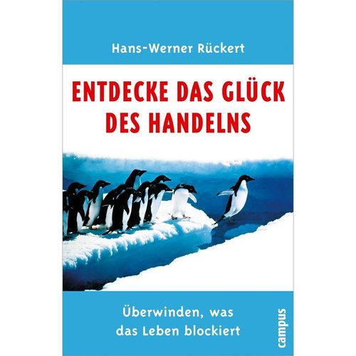 Entdecke das Glück des Handelns - Hans-Werner Rückert, Gebunden