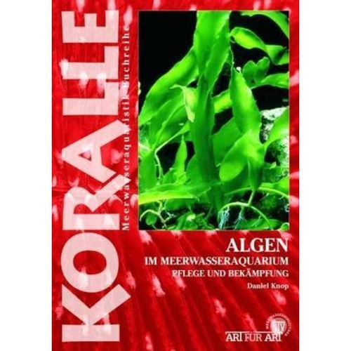 Algen im Meerwasseraquarium - Daniel Knop, Kartoniert (TB)