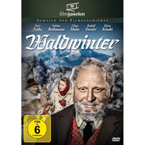 Waldwinter (DVD)
