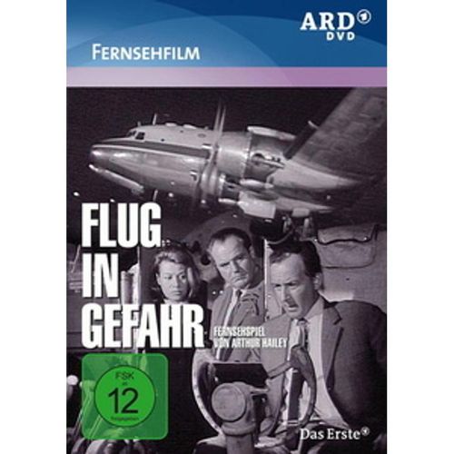 Flug in Gefahr (DVD)