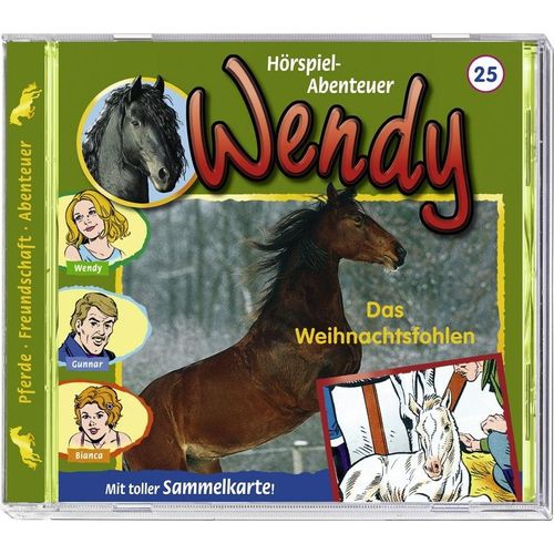 Wendy - Das Weihnachtsfohlen, 1 Audio-CD - Ki-wendy (Hörbuch)