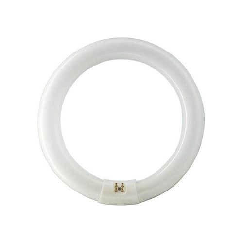 Philips Fluoreszierende Glühbirne Master TL-E Circular 32W/840 G10q