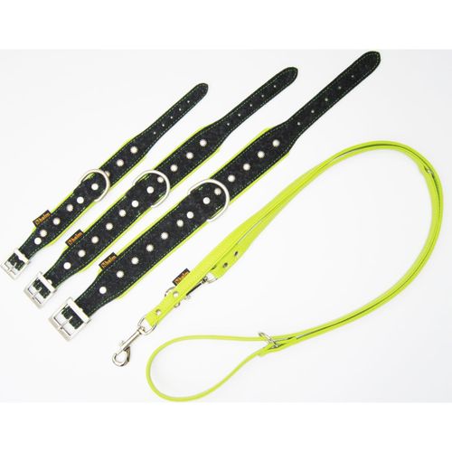 Halsband 