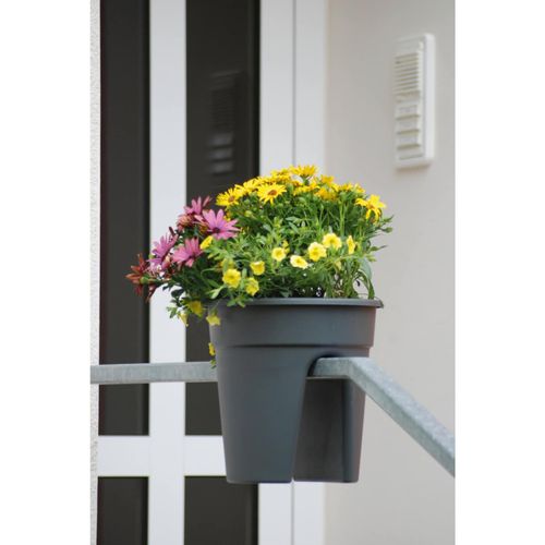 Blumentopf Flowerclip 3-er Set