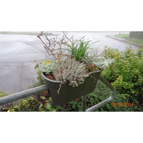 Blumenkasten Flowerclip XL