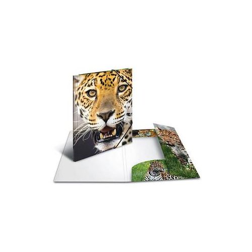 3 HERMA Sammelmappen DIN A4 Leoparden