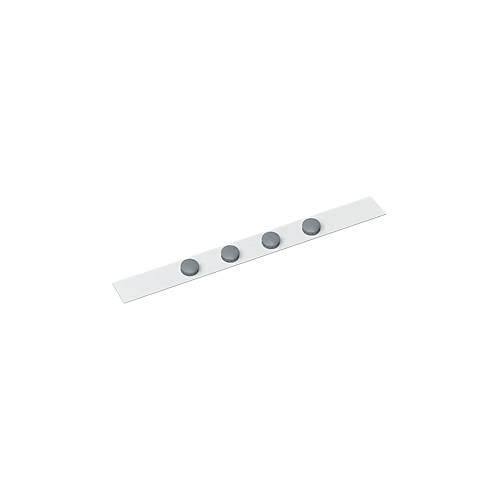 Magnetleiste Maul Standard, inkl. 4 Magneten, B 50 x L 1000 mm, weiß/grau