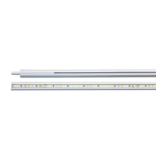 Daytime onex 180 plant 174cm 55,2W