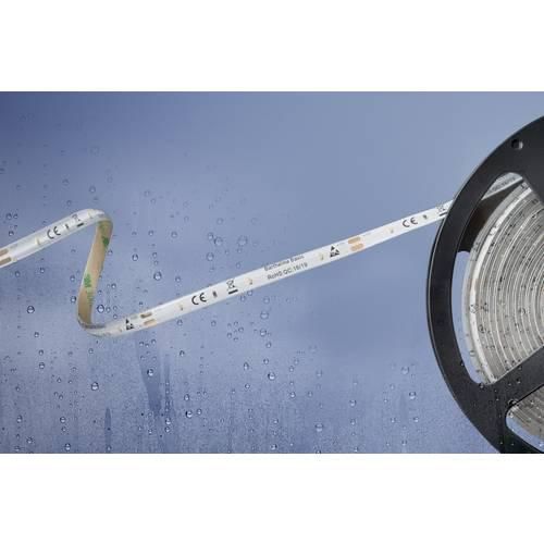 Barthelme Basic 51540434 51540434 LED-Streifen mit offenem Kabelende 12 V 5 m Kaltweiß 1 St.