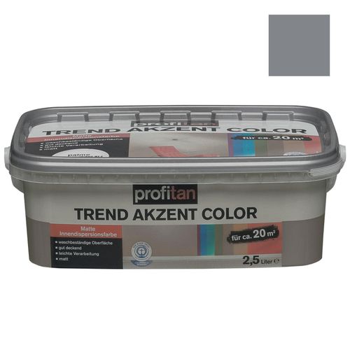profitan Wandfarbe Trend Akzent Color - klippe matt - 2,5 Liter
