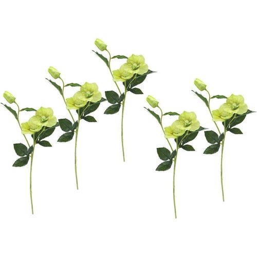 Kunstblume Christrose, I.GE.A., Höhe 57 cm, Künstlich Seidenblumen, 5er Set, grün