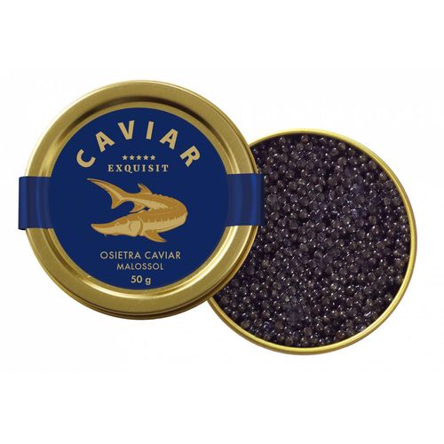 Exquisit OSIETRA CAVIAR Premium Linie Malossol, 50g