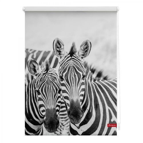 Lichtblick Rollo Klemmfix, ohne Bohren, blickdicht, Zebra - Weiß Türkis, 90 cm x 150 cm (B x L)